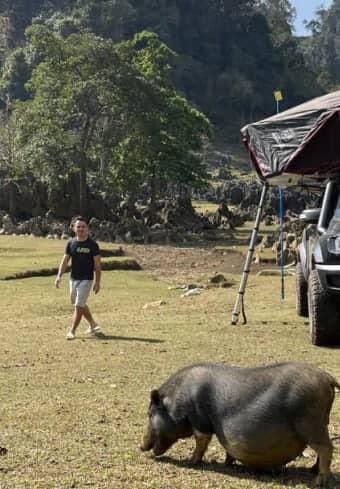 Reisender in einem Dachzelt-Camp begegnet beim Wildcampen in Vietnam einem einheimischen Schwein