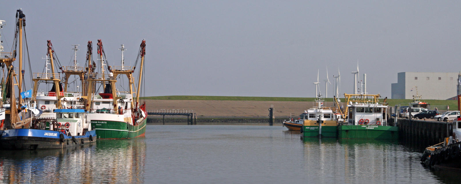 The Wadden Sea, sustainable fishing for cockles