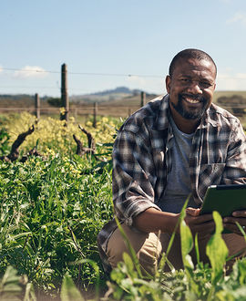 Eco-farmer amidst his crops