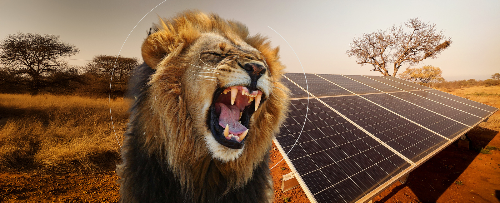 Victron Energy